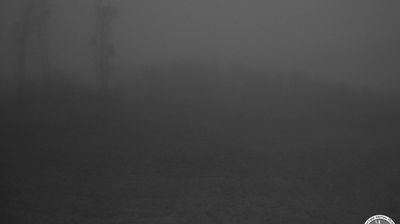 immagine della webcam nei dintorni di Città di Castello: webcam Caprese Michelangelo