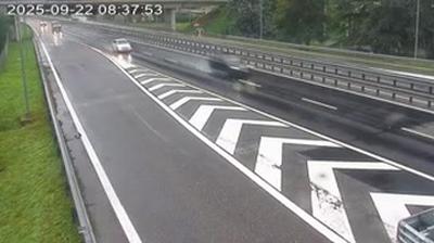 immagine della webcam nei dintorni di Piamprato: webcam Donnas