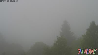 immagine della webcam nei dintorni di Monsummano Terme: webcam Granaglione