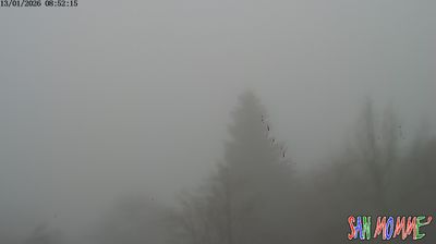 immagine della webcam nei dintorni di Cantagallo: webcam Granaglione