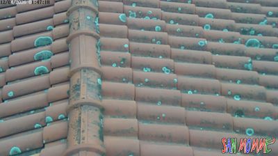 immagine della webcam nei dintorni di Cintolese: webcam Granaglione