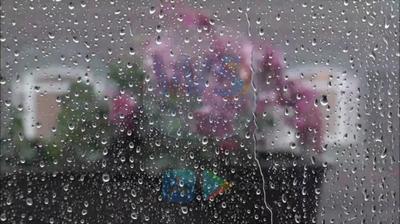 immagine della webcam nei dintorni di Trepunti: webcam Nunziata