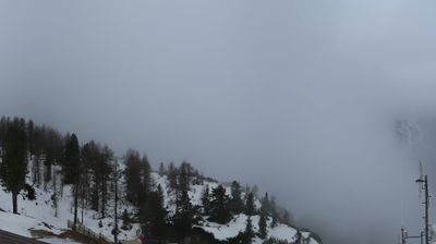 immagine della webcam nei dintorni di Auronzo di Cadore: webcam Monte Faloria