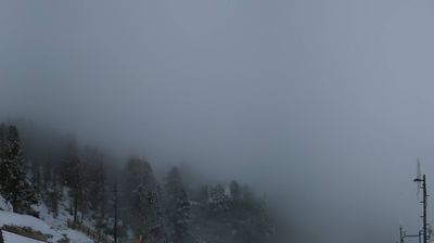 immagine della webcam nei dintorni di Dobbiaco: webcam Monte Faloria