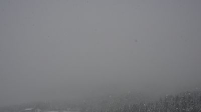 immagine della webcam nei dintorni di Bolzano: webcam Siusi allo Sciliar