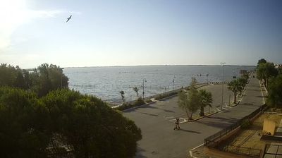 immagine della webcam nei dintorni di Isole Tremiti: webcam Lesina
