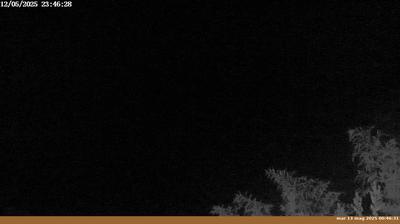 immagine della webcam nei dintorni di Torri: webcam Pian di Sco'