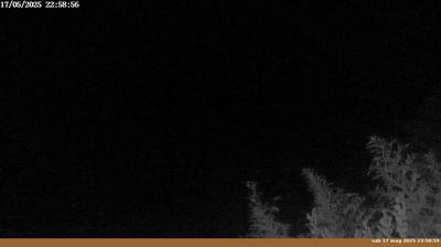 immagine della webcam nei dintorni di Londa: webcam Pian di Sco'