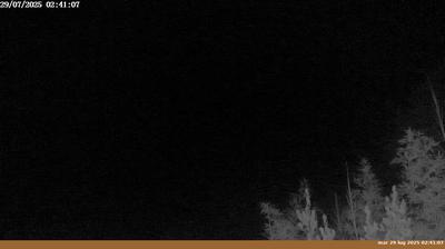 immagine della webcam nei dintorni di Vallombrosa: webcam Pian di Sco'