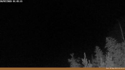 immagine della webcam nei dintorni di Pontassieve: webcam Pian di Sco'