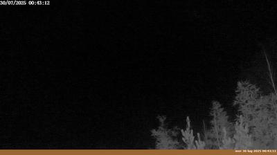immagine della webcam nei dintorni di Arezzo: webcam Pian di Sco'