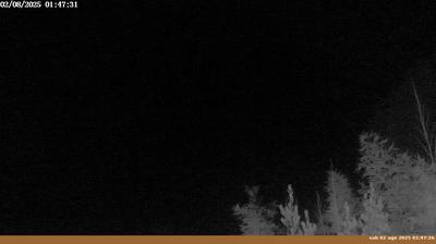 immagine della webcam nei dintorni di Passo della Consuma: webcam Pian di Sco'