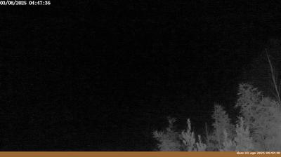 immagine della webcam nei dintorni di Montemignaio: webcam Pian di Sco'