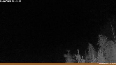 immagine della webcam nei dintorni di Ortignano Raggiolo: webcam Pian di Sco'