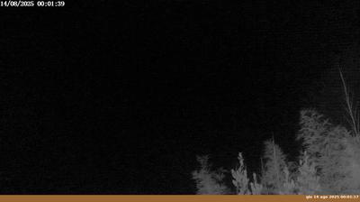 immagine della webcam nei dintorni di Arezzo: webcam Pian di Sco'
