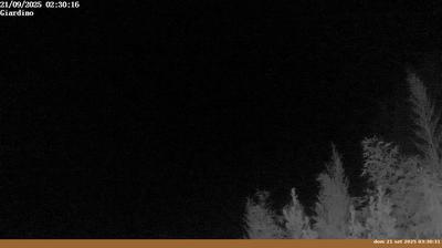 immagine della webcam nei dintorni di Pratovecchio: webcam Pian di Sco'