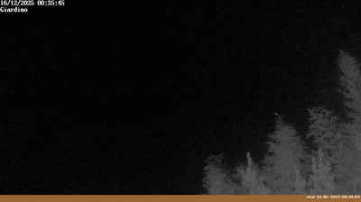 immagine della webcam nei dintorni di Campigna: webcam Pian di Sco'