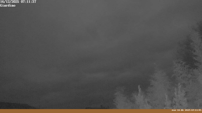 immagine della webcam nei dintorni di Pelago: webcam Pian di Sco'