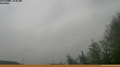 immagine della webcam nei dintorni di Montemignaio: webcam Pian di Sco'