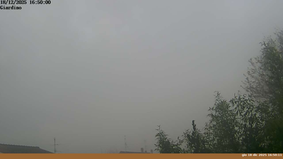 immagine della webcam nei dintorni di Pelago: webcam Pian di Sco'