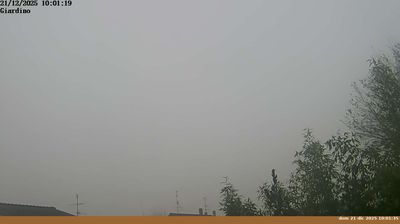 immagine della webcam nei dintorni di Badia Prataglia: webcam Pian di Sco'