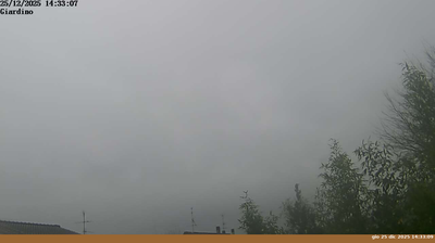 immagine della webcam nei dintorni di Passo della Consuma: webcam Pian di Sco'