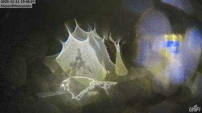 immagine della webcam nei dintorni di Cesana Torinese: webcam Moncenisio