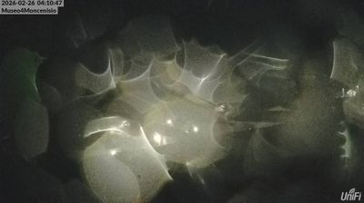 immagine della webcam nei dintorni di Bussoleno: webcam Moncenisio