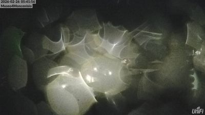 immagine della webcam nei dintorni di Pragelato: webcam Moncenisio