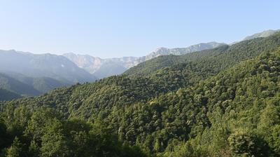 immagine della webcam nei dintorni di Villanova Mondovì: webcam Terme di Lurisia