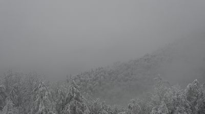 immagine della webcam nei dintorni di Pamparato: webcam Terme di Lurisia