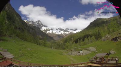 immagine della webcam nei dintorni di Capanna Margherita: webcam Pianalunga