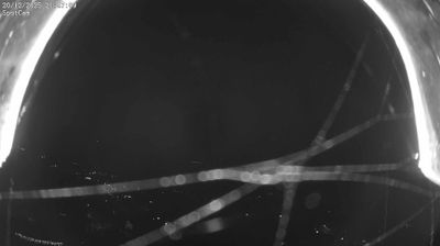 immagine della webcam nei dintorni di Rosazza: webcam Netro