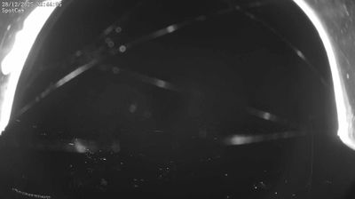 immagine della webcam nei dintorni di Settimo Vittone: webcam Netro