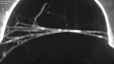 immagine della webcam nei dintorni di Settimo Vittone: webcam Netro