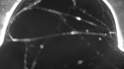 immagine della webcam nei dintorni di Biella: webcam Netro