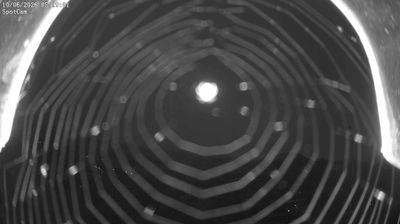 immagine della webcam nei dintorni di Issime: webcam Netro