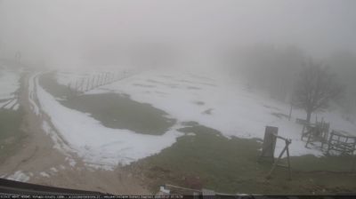 immagine della webcam nei dintorni di Città di Castello: webcam Monte Nerone
