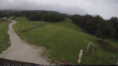 immagine della webcam nei dintorni di Cantiano: webcam Monte Nerone