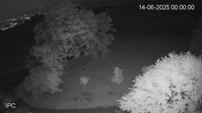 immagine della webcam nei dintorni di Conco: webcam Velo d'Astico
