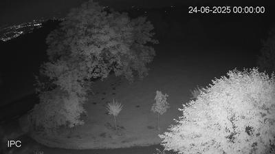 immagine della webcam nei dintorni di Valdagno: webcam Velo d'Astico
