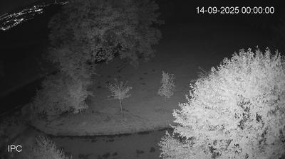 immagine della webcam nei dintorni di Villaverla: webcam Velo d'Astico