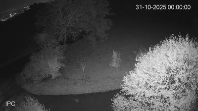 immagine della webcam nei dintorni di Thiene: webcam Velo d'Astico