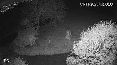 immagine della webcam nei dintorni di Campomulo: webcam Velo d'Astico