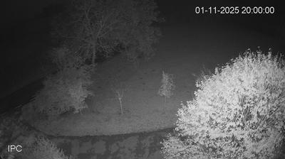 immagine della webcam nei dintorni di Recoaro Terme: webcam Velo d'Astico