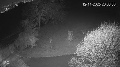 immagine della webcam nei dintorni di Monte di Malo: webcam Velo d'Astico