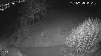 immagine della webcam nei dintorni di Isola Vicentina: webcam Velo d'Astico