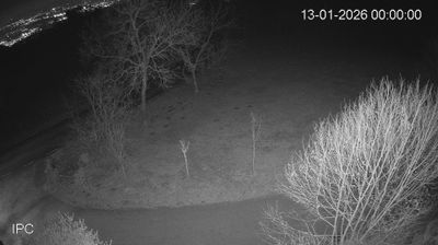 immagine della webcam nei dintorni di Passo Coe: webcam Velo d'Astico