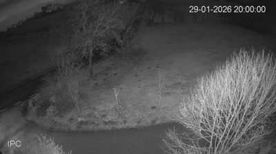 immagine della webcam nei dintorni di Posina: webcam Velo d'Astico