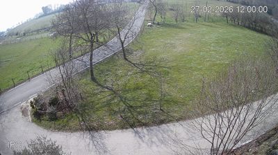 immagine della webcam nei dintorni di Passo Coe: webcam Velo d'Astico